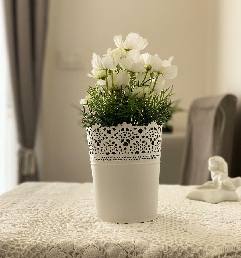 B&B Liola 파티 외부 사진